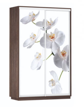 Шкаф-купе двухдверный Экспресс Дуо 1400х2200х Белая орхидея/Венге / 1400х2200h_0