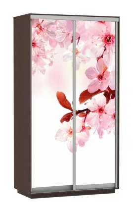 Шкаф-купе двухдверный Экспресс Дуо 1200х2200х Сакура/Венге / 1200х2200h_0