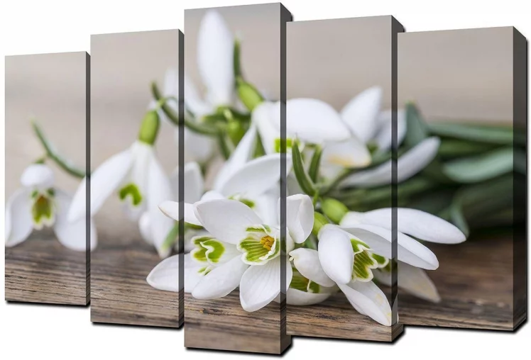 Модульная картина Топлигхт хсм ТЛ-ПМ0011 / Toplight TL-PM0011_0