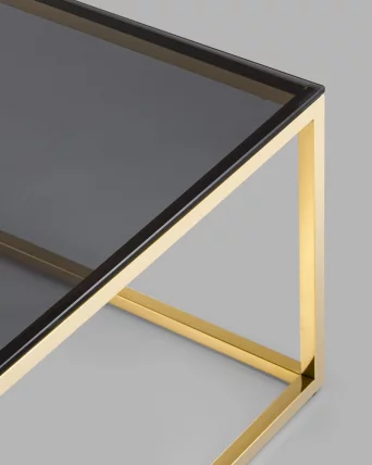 Журнальный стол ТАУН 120кс60 Золото (стекло смоке) / 120x60 smoke)_5