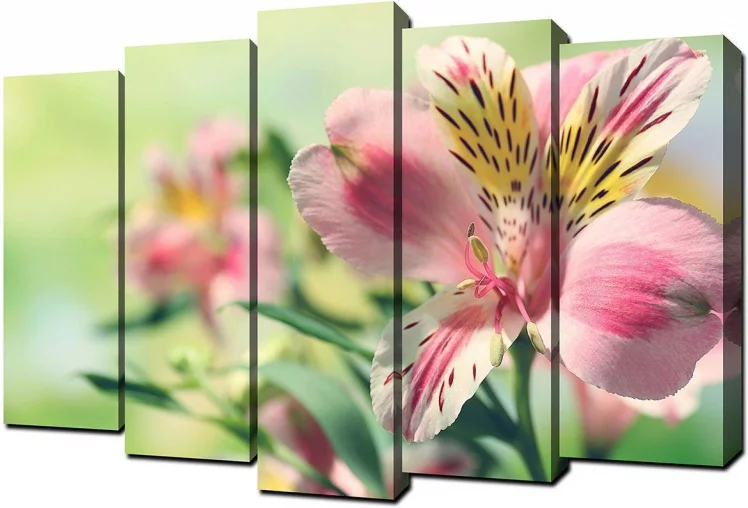 Модульная картина Топлигхт хсм ТЛ-ПМ0010 / Toplight TL-PM0010_0