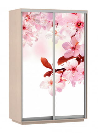 Шкаф-купе двухдверный Экспресс Дуо 1400х2400х Сакура/Дуб молочный / 1400х2400h_0