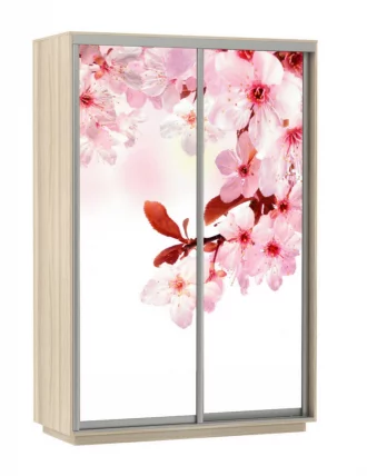 Шкаф-купе двухдверный Экспресс Дуо 1600х2200х Сакура/Ясень шимо светлый / 1600х2200h_0