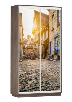 Шкаф-купе двухдверный Экспресс Дуо 1200х2400х Улица/Венге / 1200х2400h_0