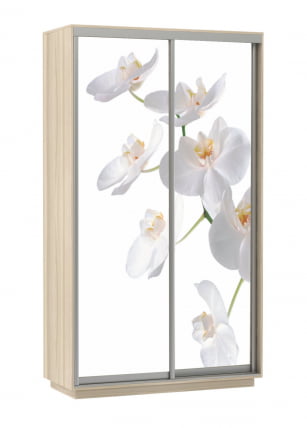 Шкаф-купе двухдверный Экспресс Дуо 1200х2400х Орхидея белая/Ясень шимо светлый / 1200х2400h_0
