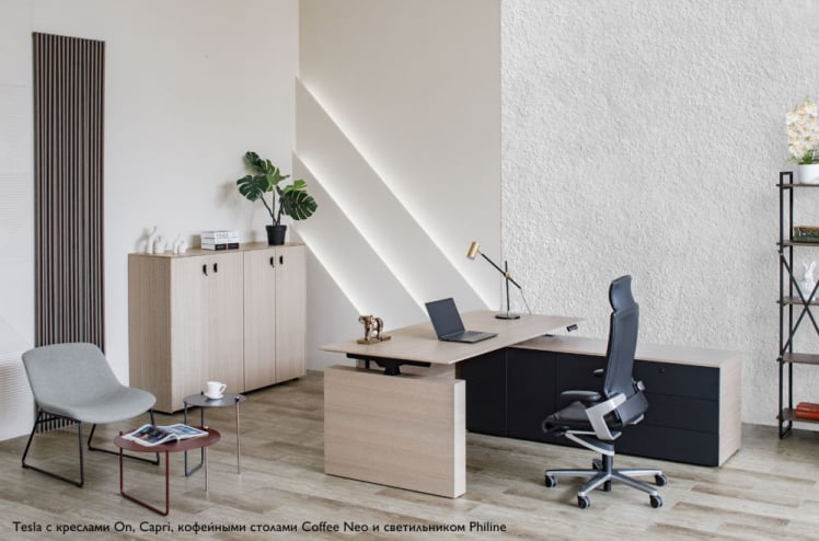 Кабинет TESLA