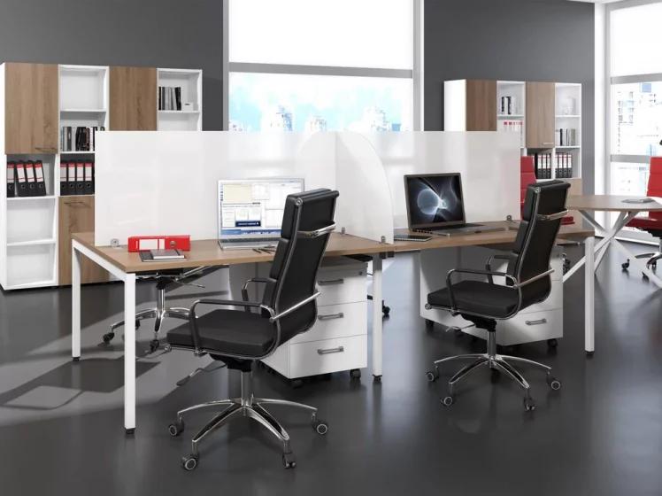 Экран из оргстекла РАНД ЛИТЕ РПГ 960 / RAND LITE RPG_4