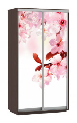 Шкаф-купе двухдверный Экспресс Дуо 1200х2400х Сакура/Венге / 1200х2400h_0