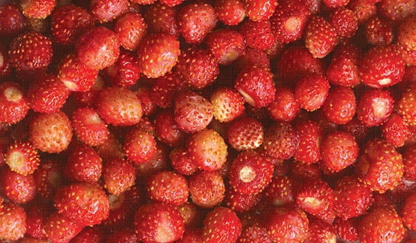 Стол обеденный Европейский фп Клубника ЛДСП серый_1