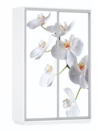 Шкаф-купе двухдверный Экспресс Дуо 1600х2400х Белая орхидея/Белый снег / 1600х2400h_0