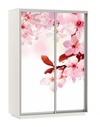 Шкаф-купе двухдверный Экспресс Дуо 1600х2200х Сакура/Белый снег / 1600х2200h_0