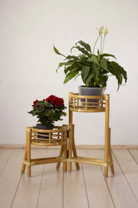 Цветочница 15/25 натуральный_1