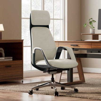 Эргономичное кресло руководителя Еурека ОC07 СЕРЕНЕ (Наппа кожа), белое / Eureka OC07 SERENE (Nappa_9