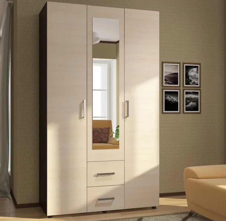 Шкаф-купе ШК-019 Белый_2