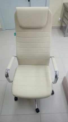 Кресло руководителя Бюрократ КБ-9Н/ЕCО/ОР-12 / KB-9N/ECO/OR-12_8