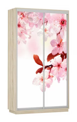 Шкаф-купе двухдверный Экспресс Дуо 1200х2400х Сакура/Дуб сонома / 1200х2400h_0