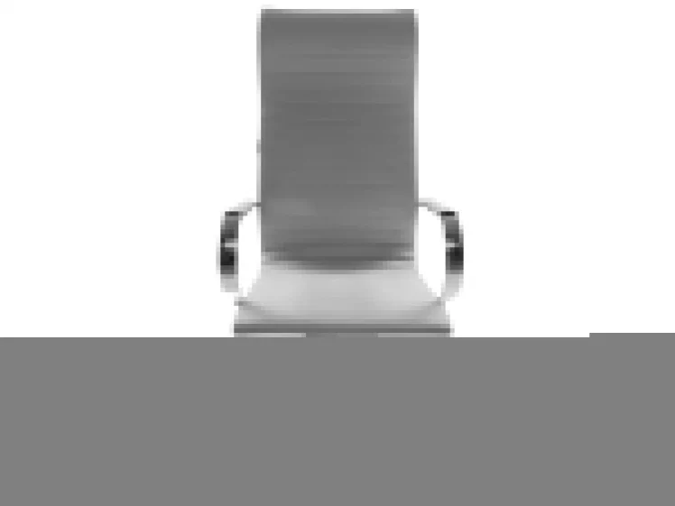 Кресло для руководителя Чаирман 710 Светло-серое / Chairman_1