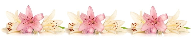 Глянцевый фартук (КОМПОЗИТ) КМ 236 / KM_0