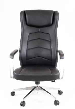 Кресло для руководителя Еверпроф Парламент Кожа Черный / Everprof Parlament_1