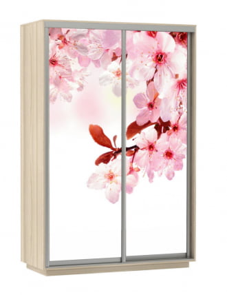 Шкаф-купе двухдверный Экспресс Дуо 1400х2400х Сакура/Ясень шимо светлый / 1400х2400h_0