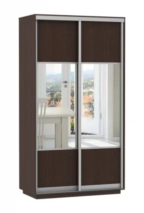 Шкаф-купе двухдверный Экспресс Дуо Комби 1200х2400х Венге / 1200х2400h_0