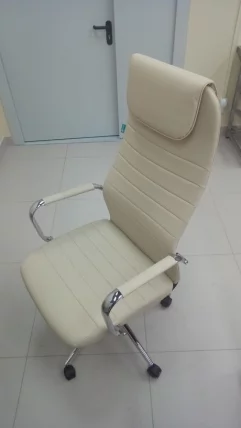 Кресло руководителя Бюрократ КБ-9Н/ЕCО/ОР-12 / KB-9N/ECO/OR-12_7