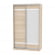 Шкаф-купе B-220х135х60-2(ДСС-D9D10)_357986